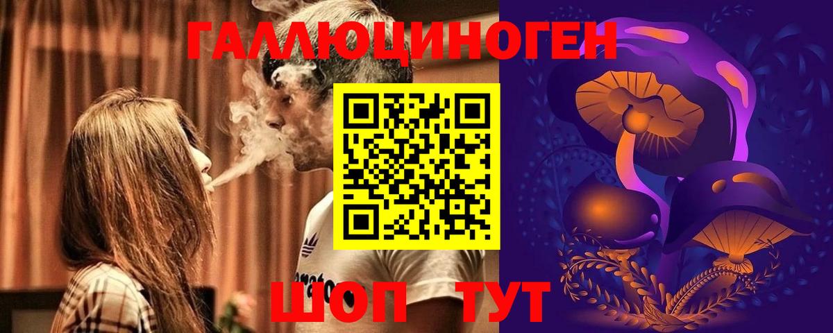 Псилоцибиновые грибы Magic Shrooms  купить наркоту  Каменск-Шахтинский  Вход с VPN  Галлюциногенные грибы GOLDEN TEACHER 